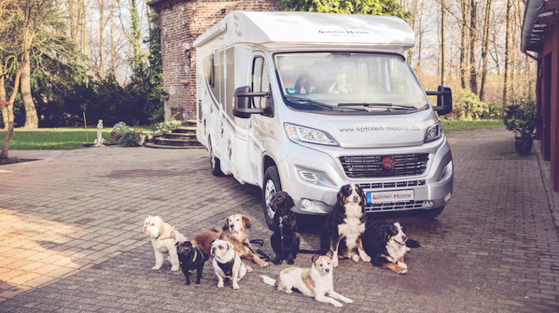 DogLiner Wohnmobil für Hundebesitzer
