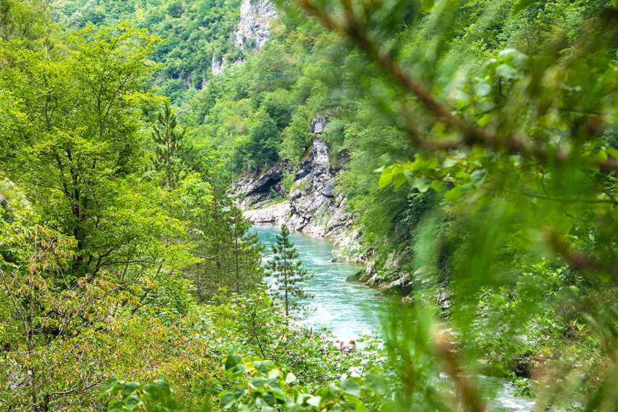 Camping Montenegro Tara Canyon