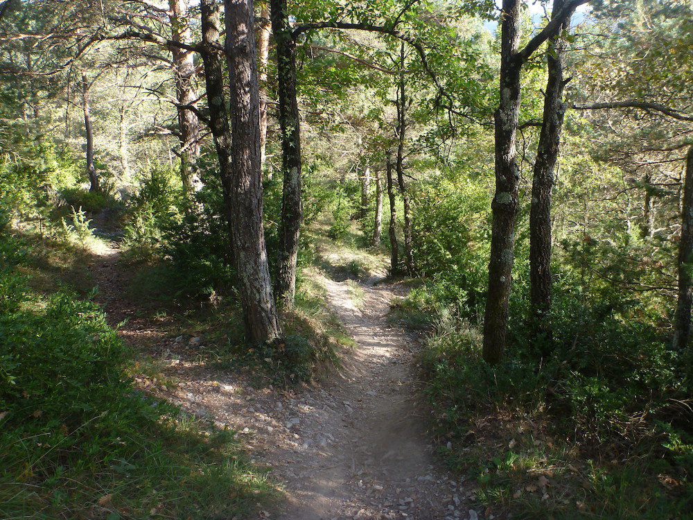 Mountainbiken Spanien Katalonien - Trail
