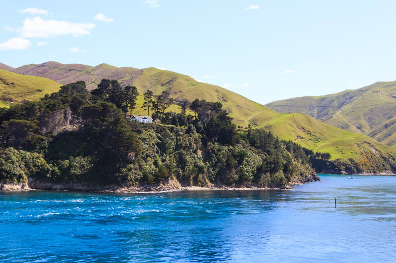 Ein traumhafter Ausblick von der Interislander in Neuseeland