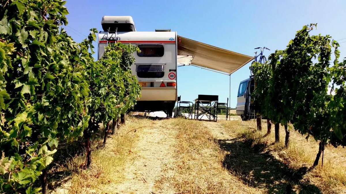 Ein toller Platz in den Weinbergen zum Wildcamping in Italien