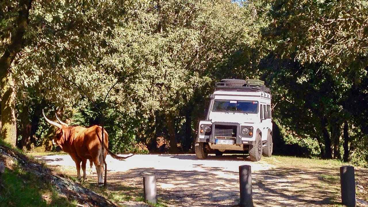 Ein Fahrzeug beim Wildcamping in Portugal