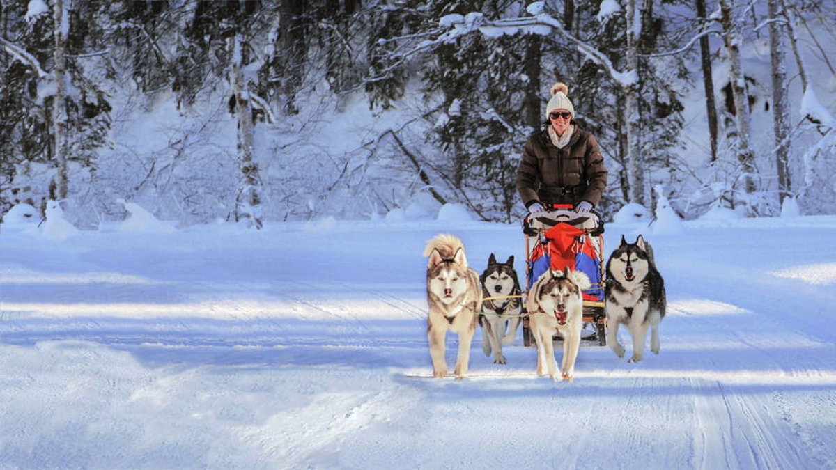 Mit Huskys im Schnee unterwegs