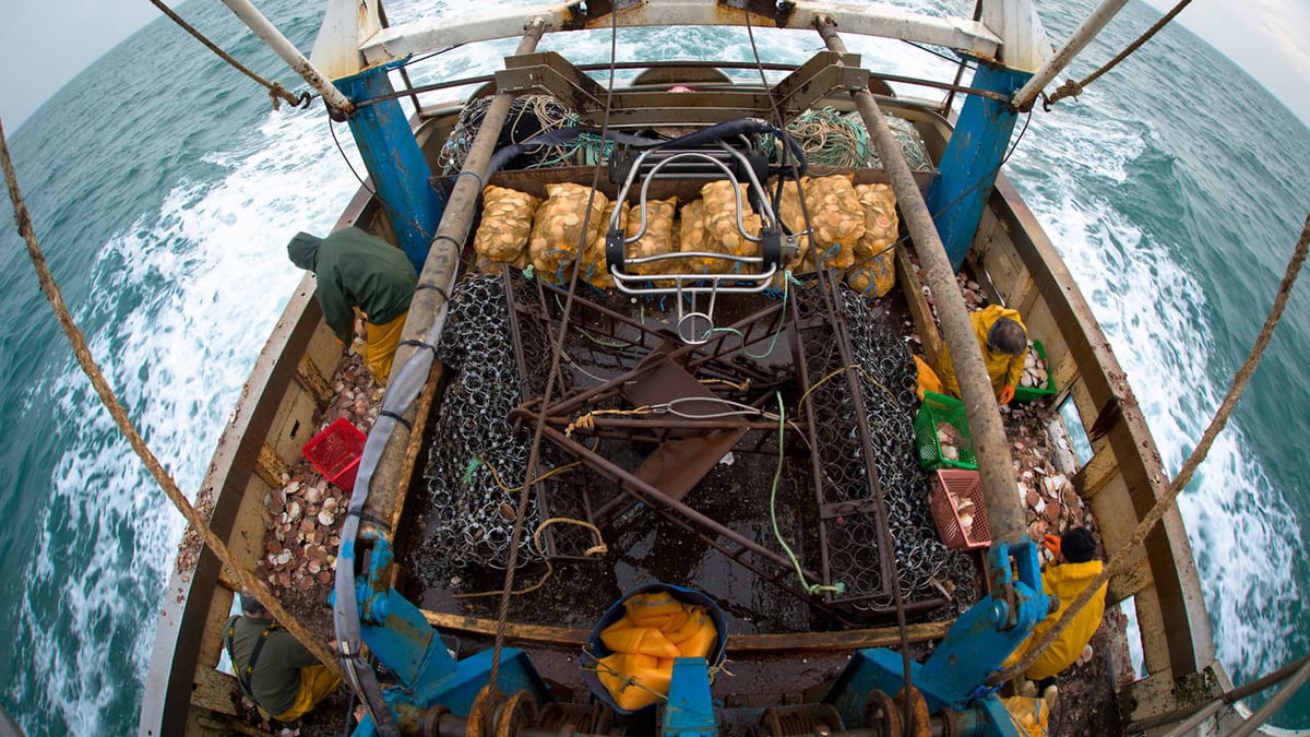 Ein Blick in ein Fischerboot in der Bretagne Foto: Nicolas Job