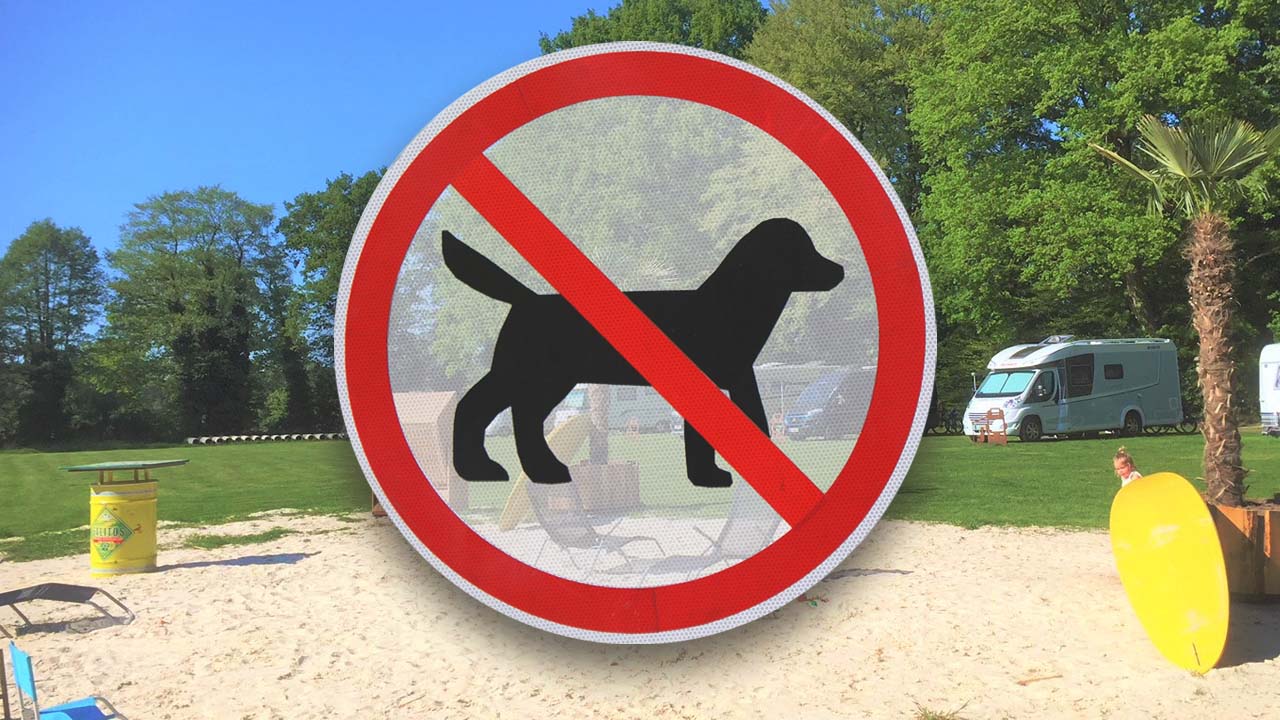 Campingplaetze ohne Hund mit Hundeverbot