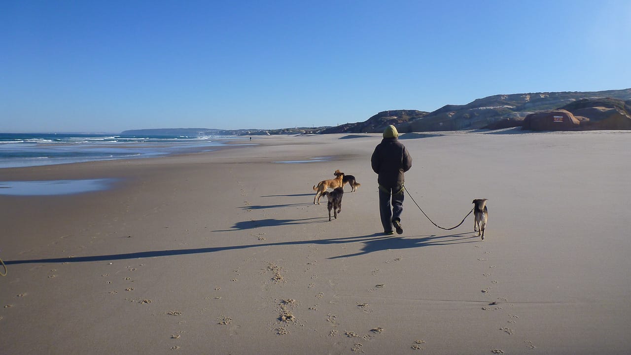 Camping Urlaub mit Hund in Portugal