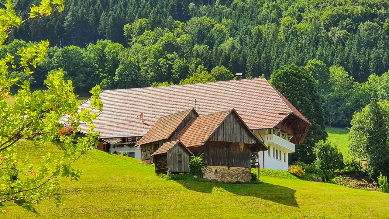 Camping im Schwarzwald