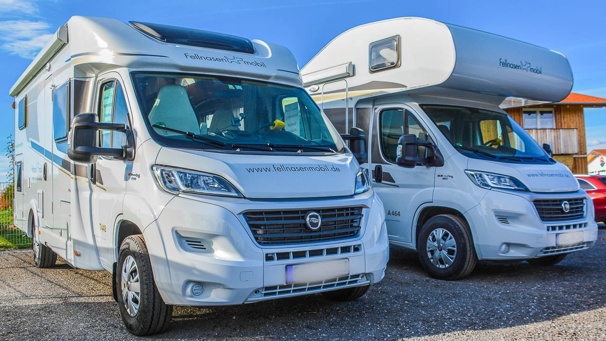 Fellnasenmobil ein Wohnmobil mit Hund