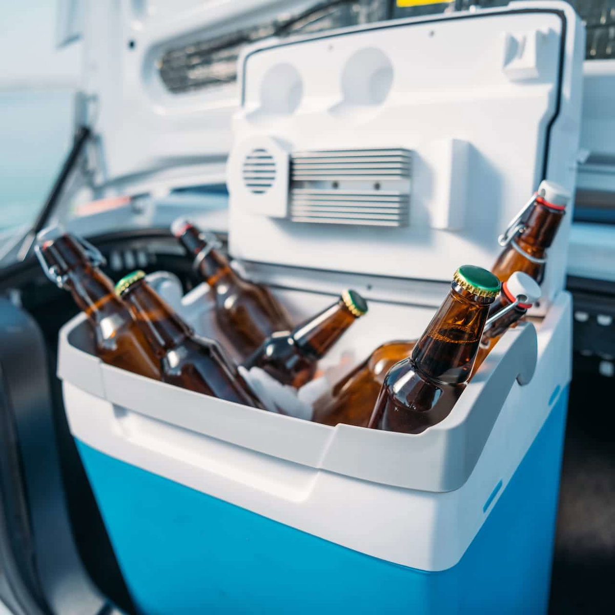Camping-Kühlbox fürs Auto