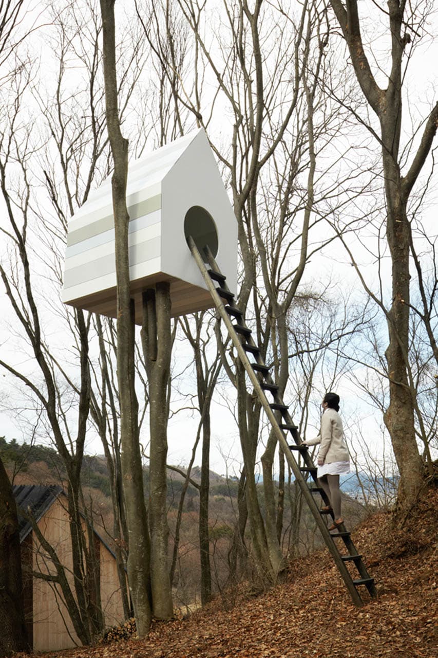 Design und Natur: Großes Vogelhaus in Japan