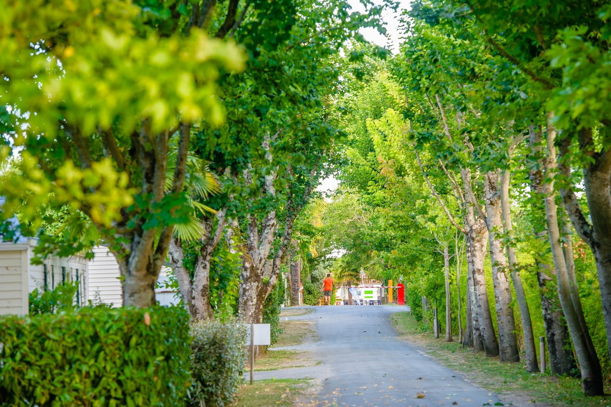 Camping Airotel Oleron