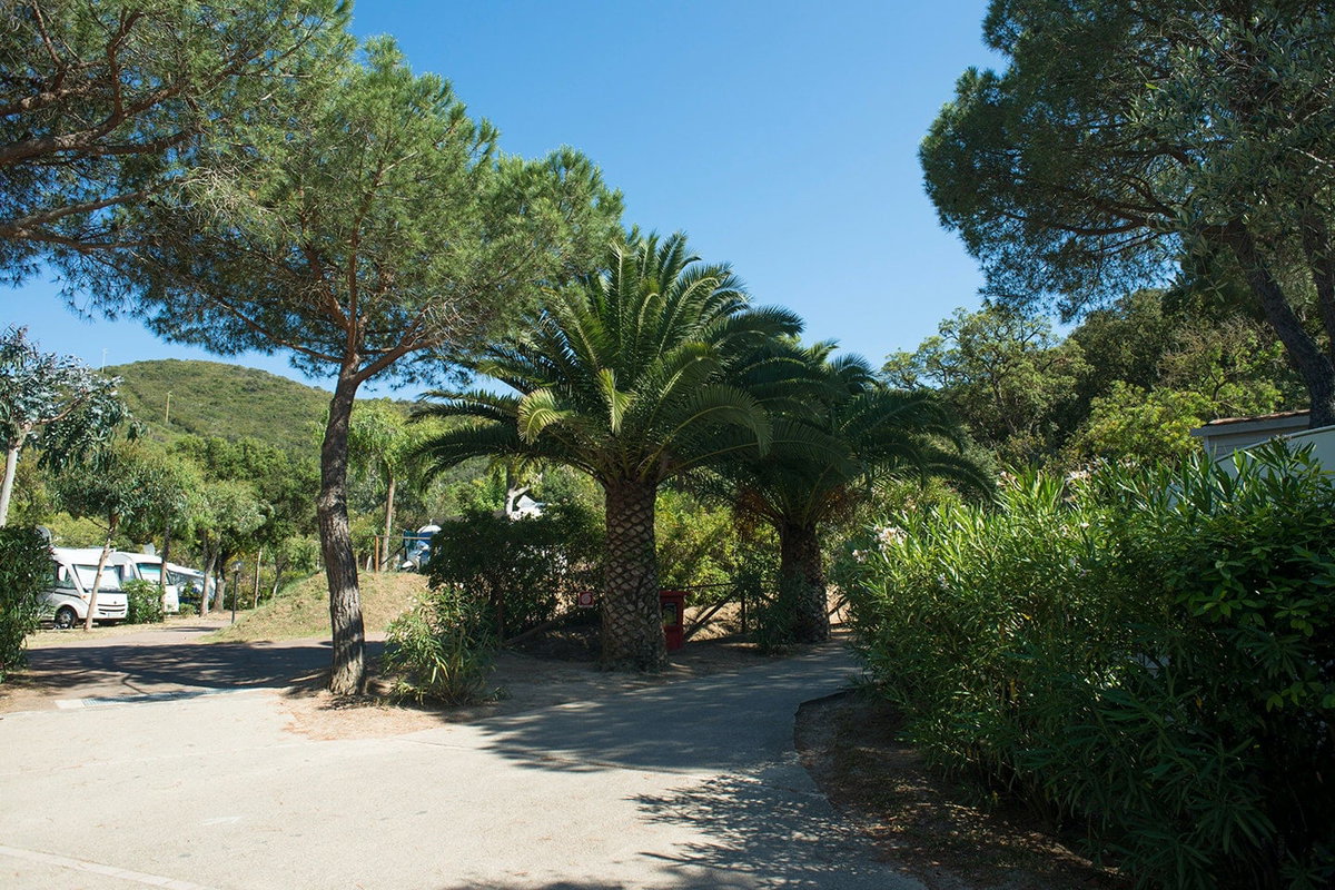 Camping Ville degli Ulivi