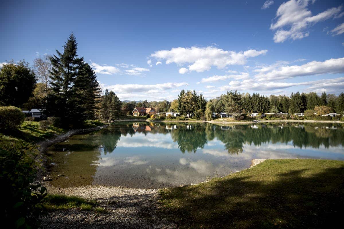 Hundefreundlicher Campingplatz Österreich Steiermark Camping Murinsel