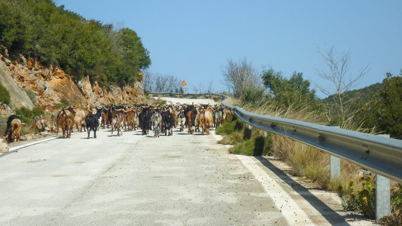 Verkehrsregeln Griechenland