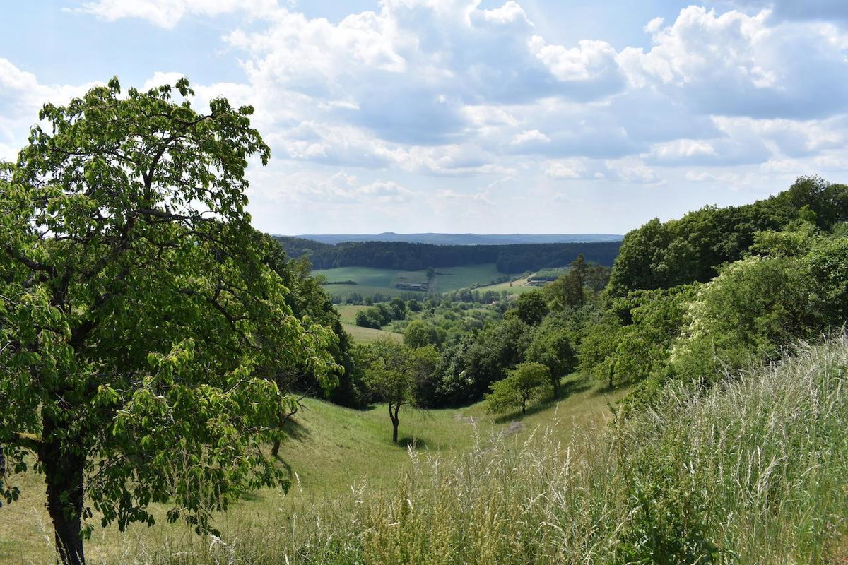 Eine Wiese mit Streuobst auf der Campingtour durch Frankenhöhe (c) Bayern-erleben Florian-Trykowski