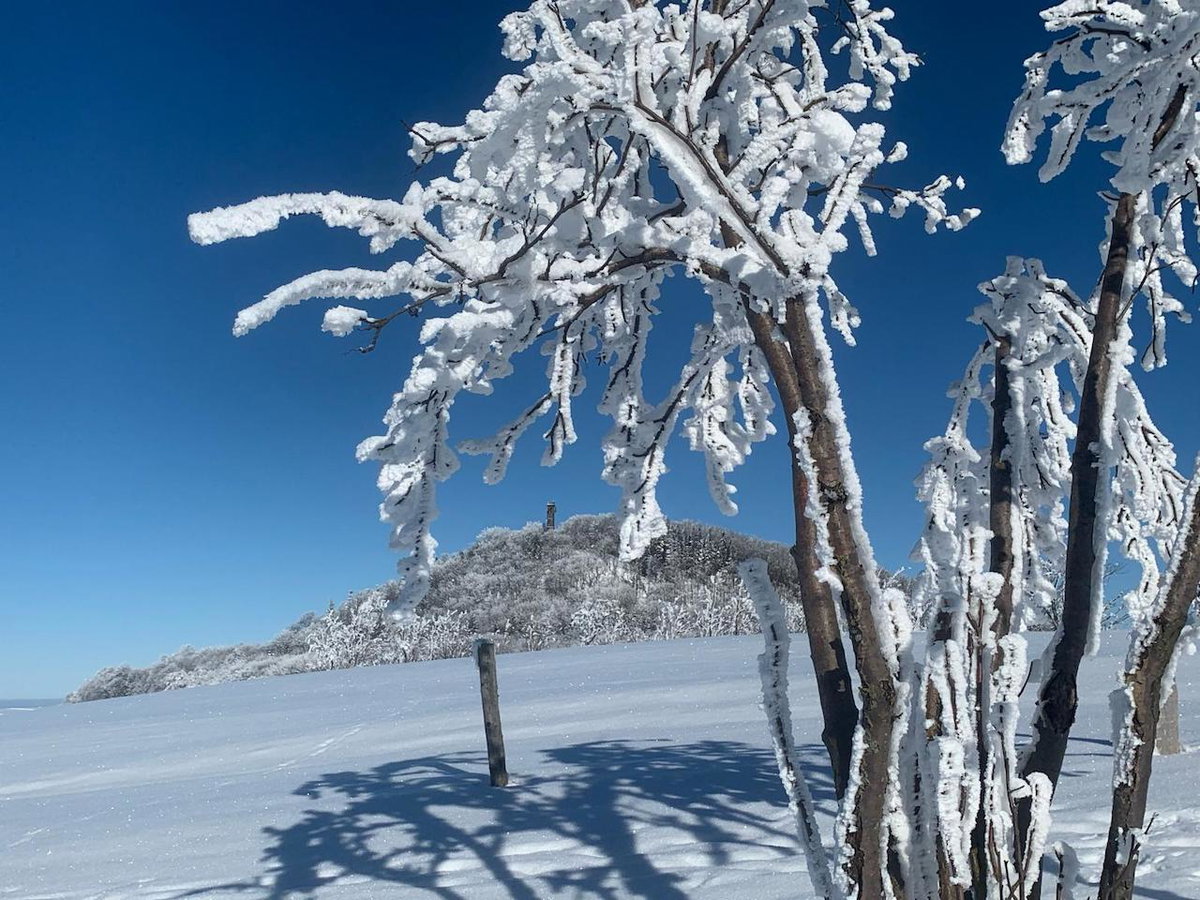 Winter im Östlichen Erzgebirge (c) Tina Heymann