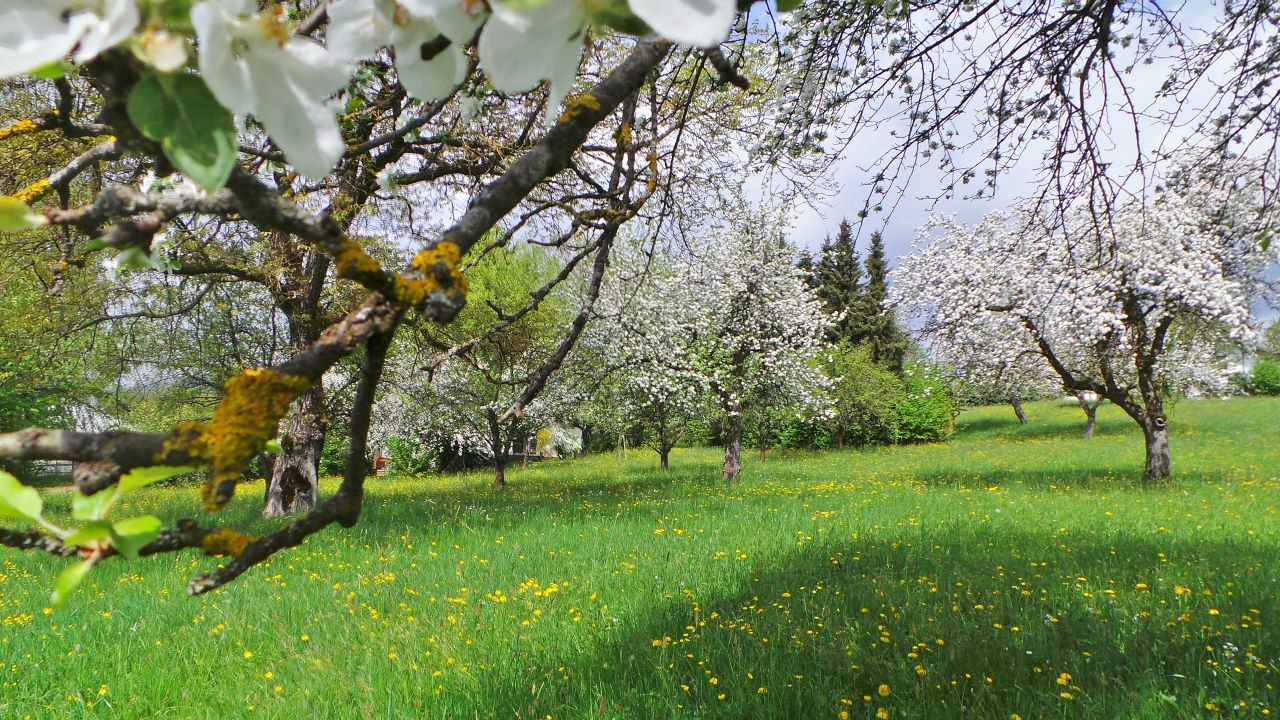 Geheimtripps Deutschland Lallinger Winkel Lalling Obstwiese