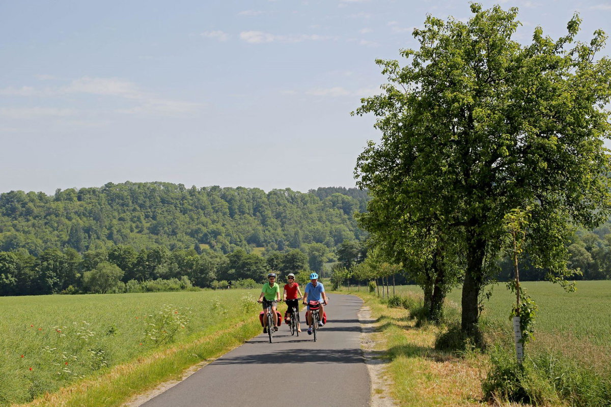 Sachsenburger Pforte - Mit dem Rad auf dem Weg nach Rastenberg © Thüringer Tourismus GmbH